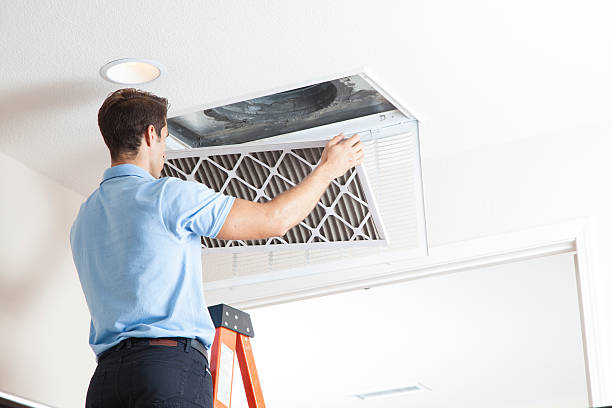 HVAC air duct cleaning in Lake Sarasota, FL